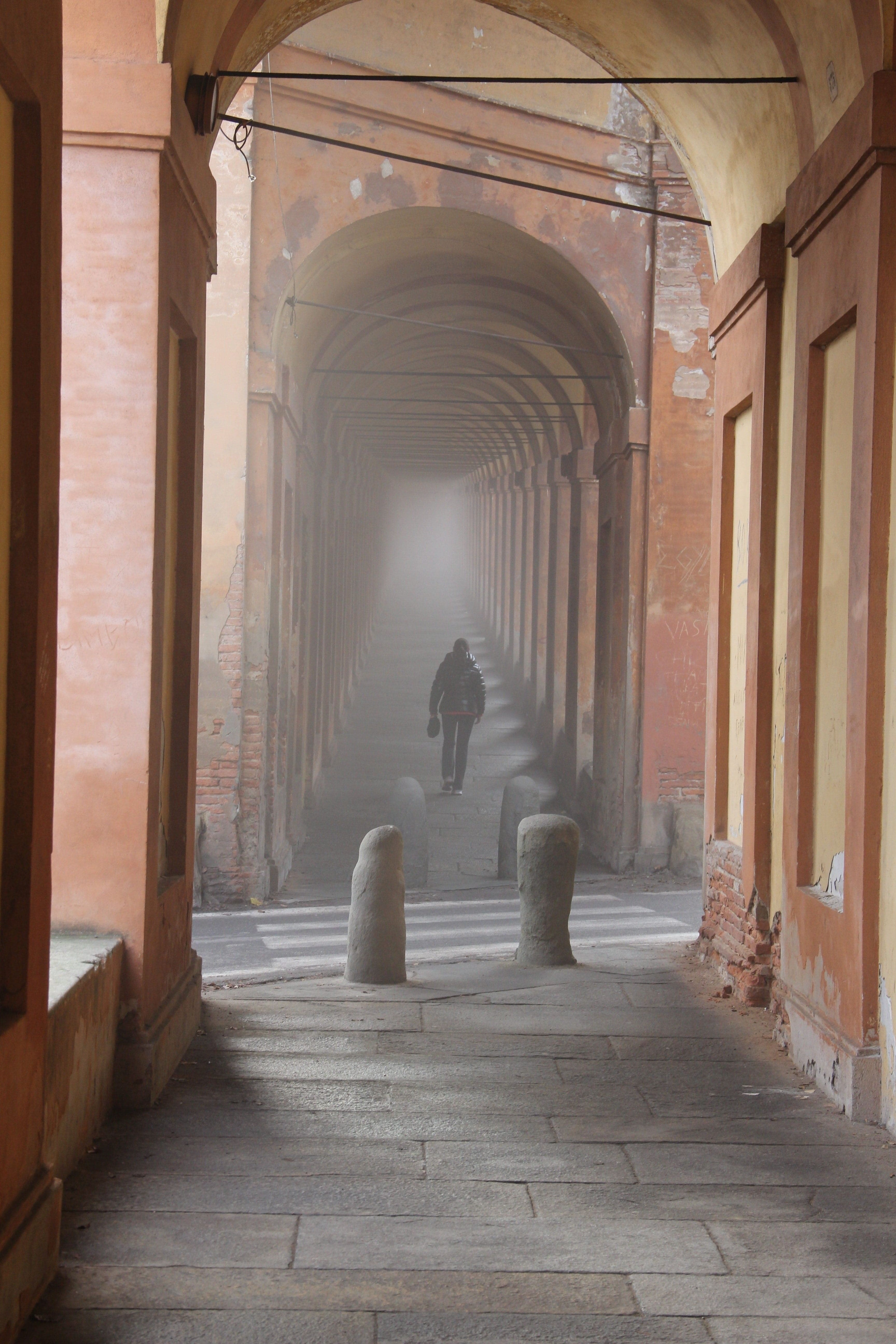 Pulci di Notte Bologna